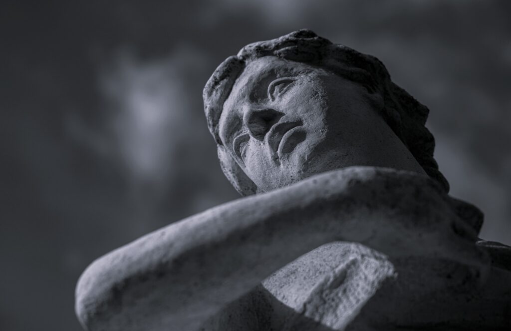 frantisek canik xsl2phaa6 4 unsplash
