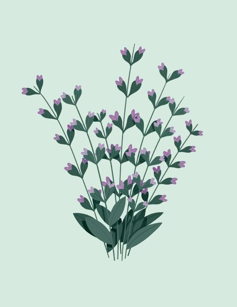 sage, flowers, nature, medicinal plant, flora, digital art, light green, flower wallpaper, beautiful flowers, flower background, purple